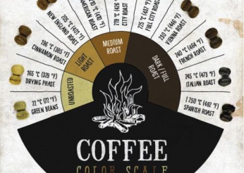 Từng mức độ rang cà phê phổ biến tùy theo nhiệt độ